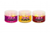 Quads Group