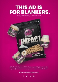 This Ad Is For Blankers Choc O