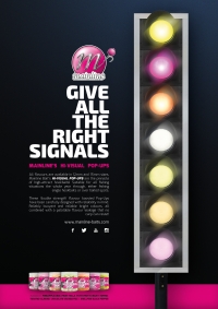 Give All The Right Signals (2022) Ad