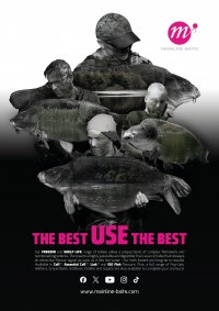The Best Use The Best Ad (2025) The Best Use The Best Ad (2025)