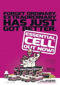 Essential Cell Ad - Forget Ordinary