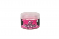 Pastel Barrel Wafter - Fruity Squid