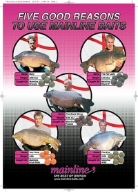 Five Good Reasons To Use Mainline Baits - Dave Lane's 5 x 50's 